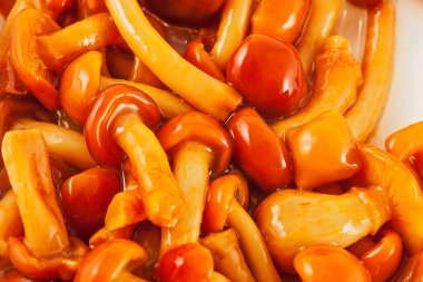 Mantar turşusu, arka plan.