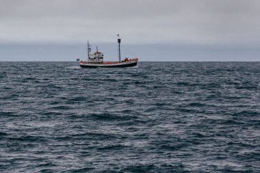 Husavik, İzlanda - 15 Ağustos 2017: Yelkenli takımı ve turistler balina izleme yolculuğuna başladı.
