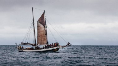 Husavik, İzlanda - 15 Ağustos 2017: Yelkenli takımı ve turistler balina izleme yolculuğuna başladı.