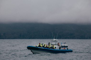 Husavik, İzlanda - 15 Ağustos 2017: Yelkenli takımı ve turistler balina izleme yolculuğuna başladı.