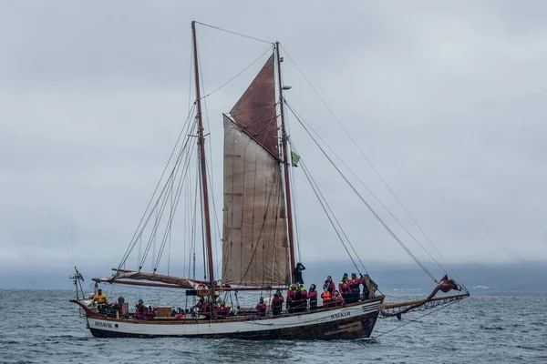 Husavik Islândia Agosto 2017 Barco Com Equipe Vela Turistas Começam — Fotografia de Stock