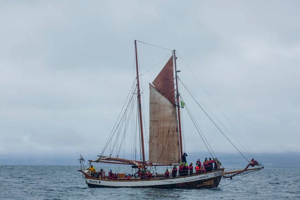 Husavik Islândia Agosto 2017 Barco Com Equipe Vela Turistas Começam — Fotografia de Stock