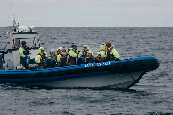 Husavik Islândia Agosto 2017 Barco Com Equipe Vela Turistas Começam — Fotografia de Stock