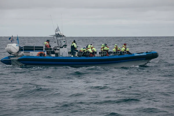 Husavik Islandia Sierpnia 2017 Łódź Drużyną Żeglarską Turyści Rozpoczynają Podróż — Zdjęcie stockowe