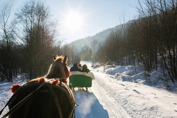 Mercek parlaması ile kışın bir kızakta binmek 