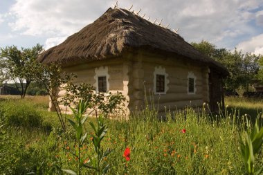 Otantik Ukraynalı köy evi.