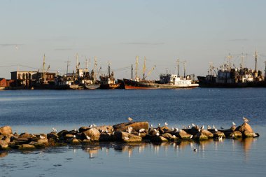Berdyansk bağlantı noktası görüntülemek
