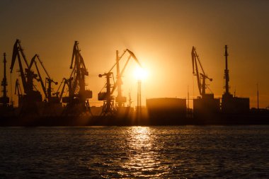 Birçok büyük Vinçler siluet gündoğumu Altın ışık, limanda suya yansıyan. Berdiansk, Ukrayna