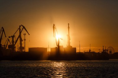 Birçok büyük Vinçler siluet gündoğumu Altın ışık, limanda suya yansıyan. Berdiansk, Ukrayna