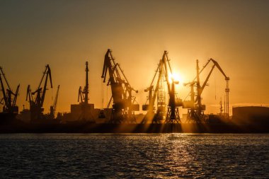 Birçok büyük Vinçler siluet gündoğumu Altın ışık, limanda suya yansıyan. Berdiansk, Ukrayna