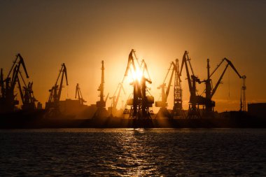 Birçok büyük Vinçler siluet gündoğumu Altın ışık, limanda suya yansıyan. Berdiansk, Ukrayna