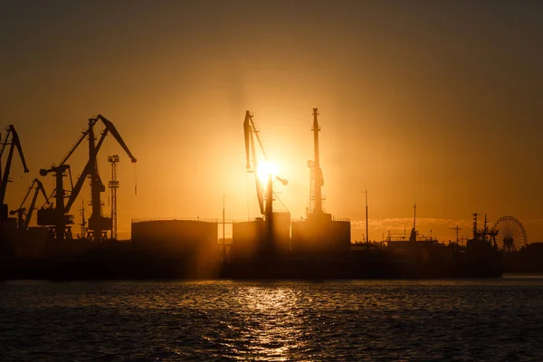 Många stora kranar siluett i hamnen i gyllene ljus av soluppgången återspeglas i vatten. Berdjansk, Ukraina — Stockfoto