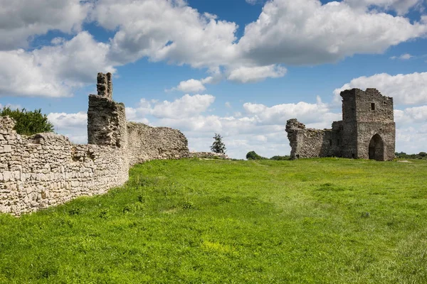 Famoso punto di riferimento ucraino: vista panoramica estiva delle rovine di un — Foto Stock