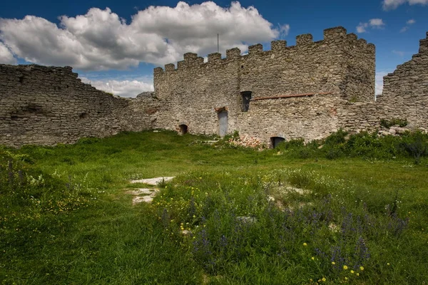 Famoso hito ucraniano: vista panorámica del verano de las ruinas de un —  Fotos de Stock