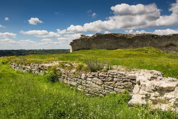 Famoso hito ucraniano: vista panorámica del verano de las ruinas de un —  Fotos de Stock