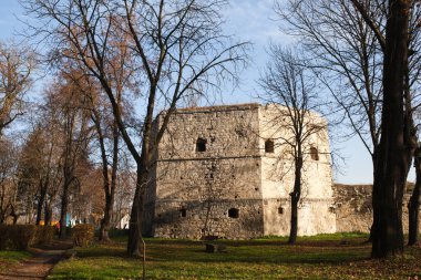 Sieniawski kale 1534 yılında yarı harap Berezhany