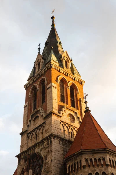 Dominikánský kostel St. Stanislaus zlatou hodinu v Chortkiv — Stock fotografie