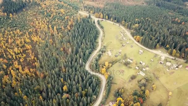 Fliegende Andere Herbstliche Karpaten Der Nähe Von Krywopillia Auto Road — Stockvideo