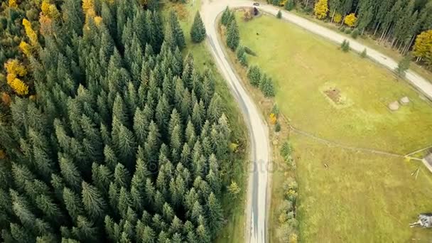 Volar Otras Montañas Otoño Los Cárpatos Cerca Kryvopillia Paso Carretera — Vídeo de stock