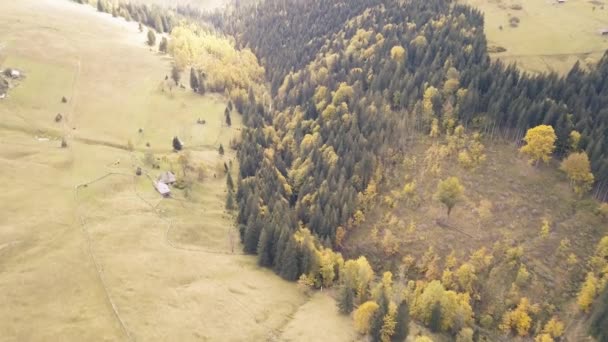 Letící Další Podzimní Karpatských Hor Poblíž Kryvopillia Ukrajina — Stock video