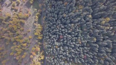 Kryvopillia, Ukrayna tarafından sonbahar Karpat Dağları yakın uçan