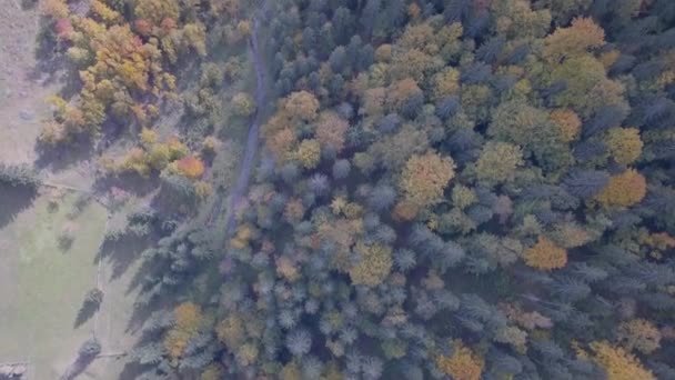 Fliegende Andere Herbstliche Karpaten Der Nähe Von Krywopillien Ukraine — Stockvideo