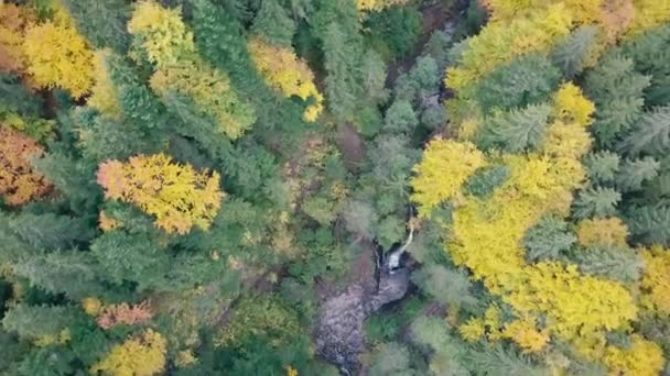 Antenowe Strzelać Piękne Miejsca Karpatach Wodospad Zhenetskyi Huk Ukraina — Wideo stockowe