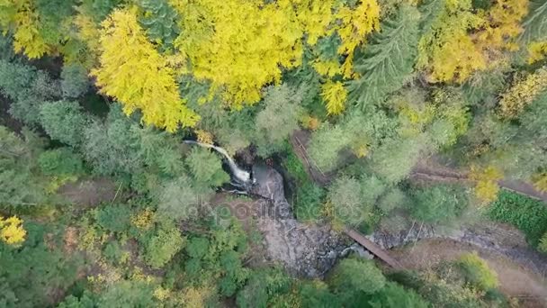 Antenowe Strzelać Piękne Miejsca Karpatach Wodospad Zhenetskyi Huk Ukraina — Wideo stockowe