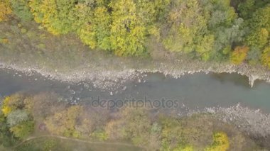 Yukarıdan aşağıya Karpat Dağları'nda hareketli Nehri'nin havadan görünümü. Ukrayna'da vurdu