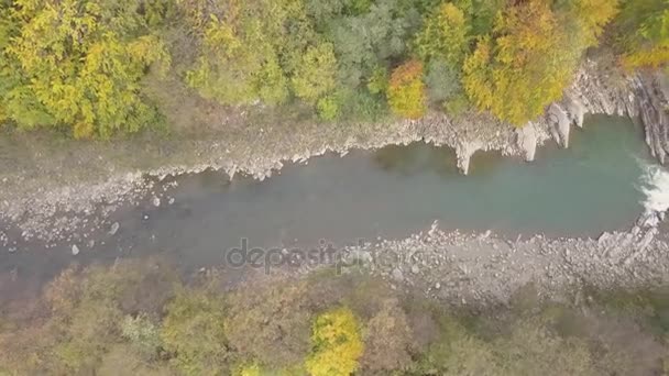 Πάνω Προς Κάτω Εναέρια Άποψη Του Ποταμού Κινείται Στα Καρπάθια — Αρχείο Βίντεο