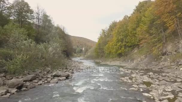 Moving River Carpathian Mountains Drone Shot — Stock Video