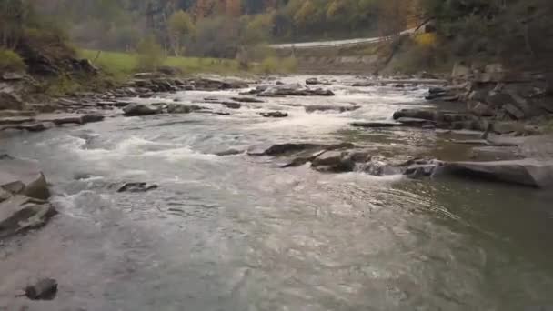 Moving River Prut Carpathian Mountains Aerial Drone Shot — Stock Video