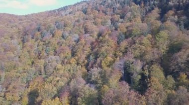 Yaremche, Ukrayna sonbahar Karpat Dağları'nın havadan görünümü