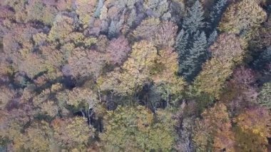 Yaremche, Ukrayna sonbahar Karpat Dağları'nın havadan görünümü