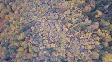 Vorohta, Ukrayna sonbahar Karpat Dağları üzerinde uçan