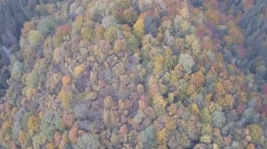 Vorohta, Ukrayna sonbahar Karpat Dağları üzerinde uçan