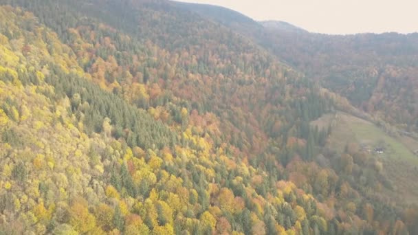 Létání Nad Podzimní Karpat Poblíž Vorohta Ukrajina — Stock video