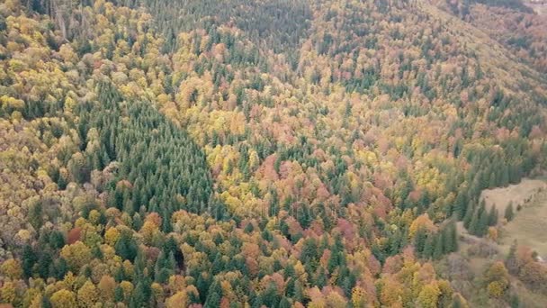 Vliegen Herfst Karpatische Bergen Buurt Van Door Vorohta Oekraïne — Stockvideo