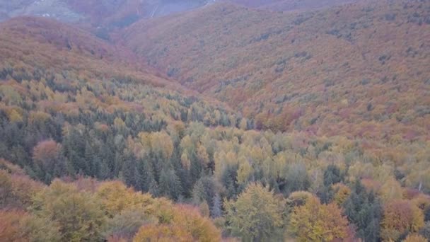 Vorohta Ukrayna Sonbahar Karpat Dağları Üzerinde Uçan — Stok video