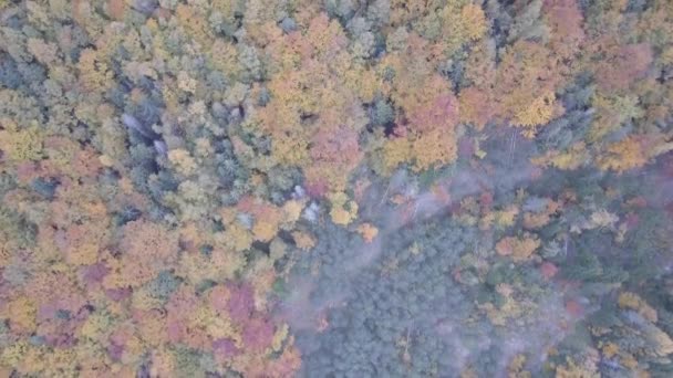 Vliegen Herfst Karpatische Bergen Buurt Van Door Vorohta Oekraïne — Stockvideo