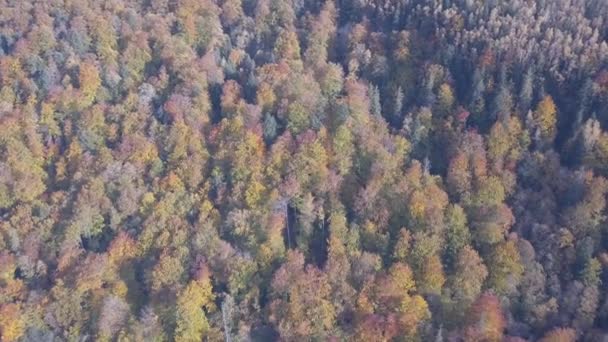 Volando Sobre Las Montañas Los Cárpatos Otoño Cerca Vorohta Ucrania — Vídeo de stock