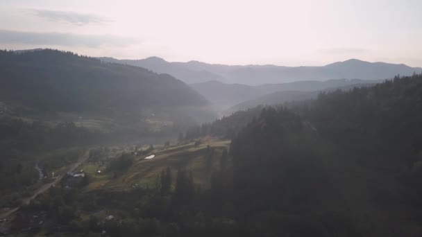 Dzembronya Köyü Ukrayna Tarafından Yaz Karpat Dağları Nın Hava Üstten — Stok video