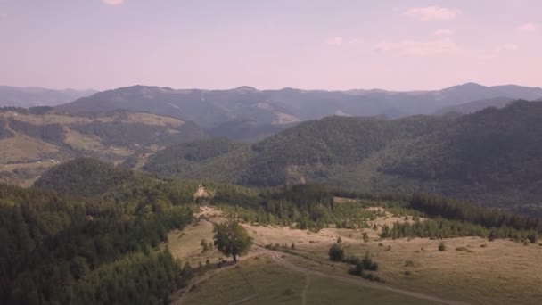 Vista Aérea Superior Das Montanhas Carpathian Verão Perto Pela Vila — Vídeo de Stock