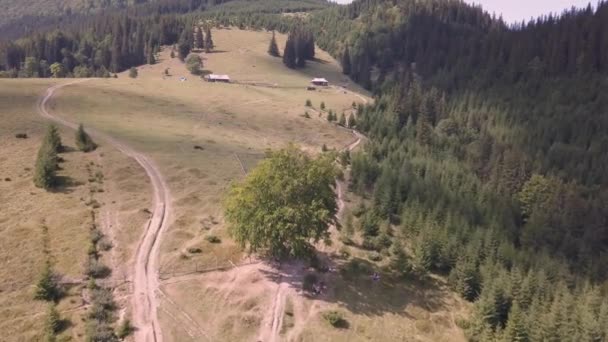 Luftaufnahme Der Sommerkarpaten Der Nähe Von Dzembronya Dorf Bei Sonnigem — Stockvideo