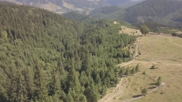 Vista Aérea Superior Das Montanhas Carpathian Verão Perto Pela Vila — Vídeo de Stock