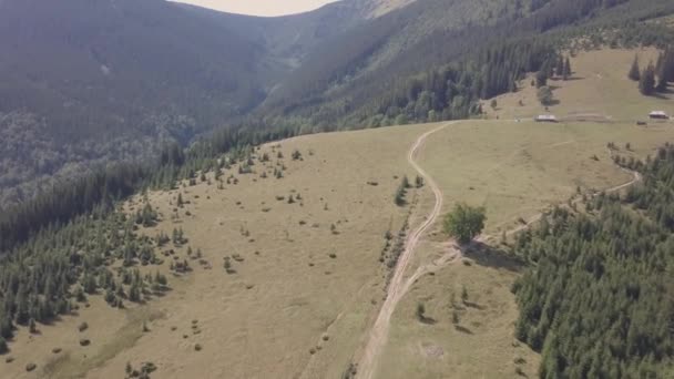 Vista Aérea Las Montañas Los Cárpatos Verano Cerca Aldea Dzembronya — Vídeos de Stock