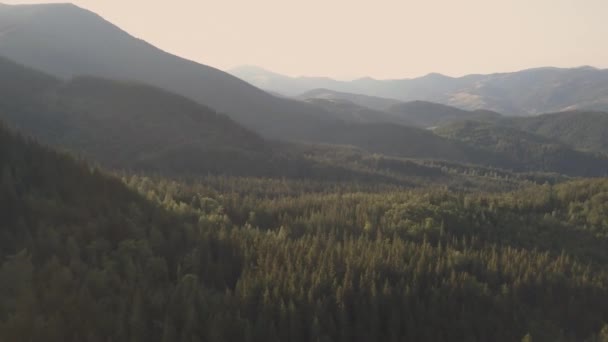 Vista Aérea Las Montañas Los Cárpatos Verano Cerca Aldea Dzembronya — Vídeos de Stock