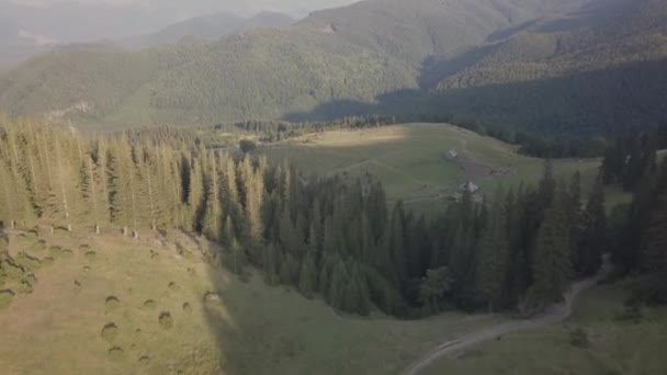 Létání Dron Karpatském Lese Horách Létě — Stock video