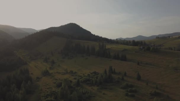 Vista Aérea Las Montañas Los Cárpatos Verano Cerca Aldea Dzembronya — Vídeos de Stock
