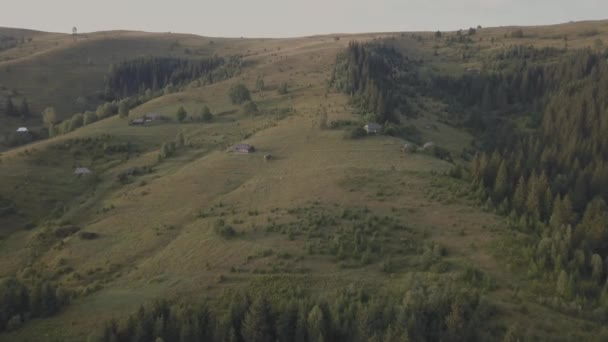 Luftaufnahme Der Sommer Karpaten Der Nähe Von Dzembronya Dorf Ukraine — Stockvideo